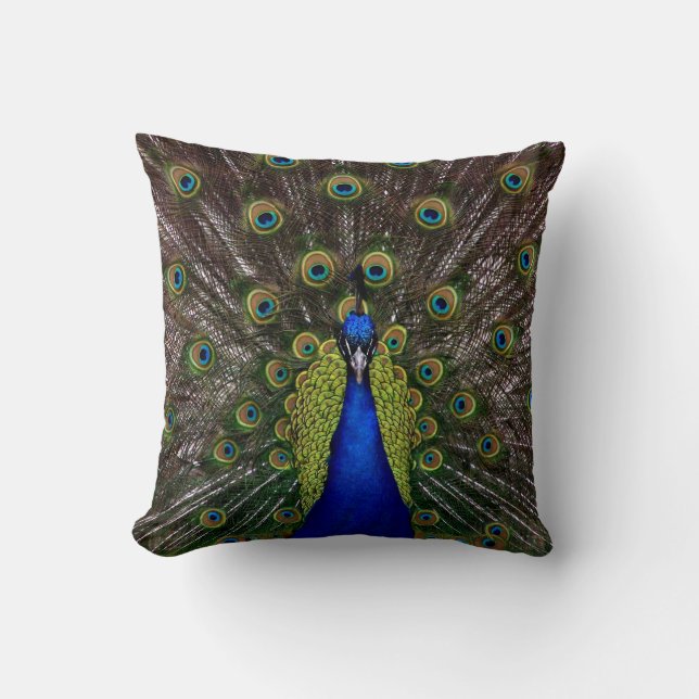 Coussin Carreau fier de paon (Recto)