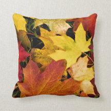 "Carreau impressionnant d'automne "