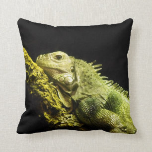 Coussin Carreau noble d'iguane