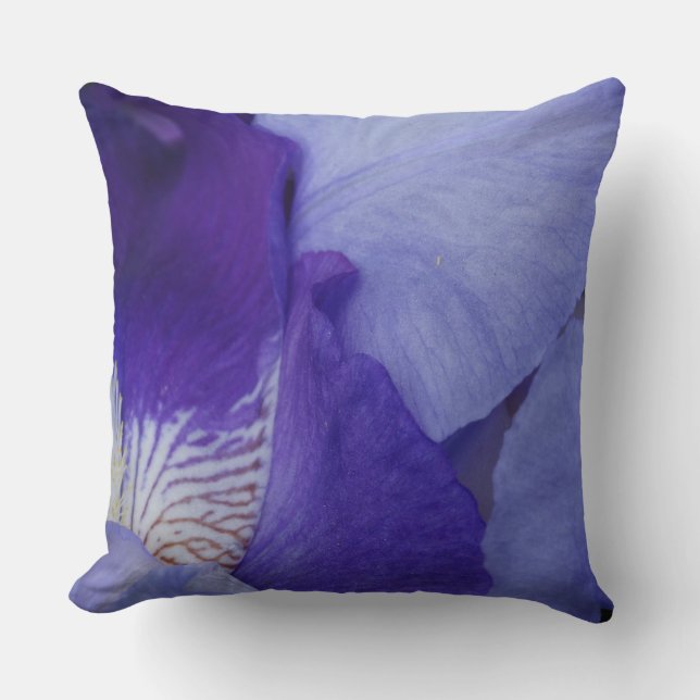 Coussin Carreau pourpre de photo de fleur d'iris (Recto)