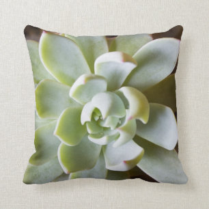 Coussin Carreau succulent