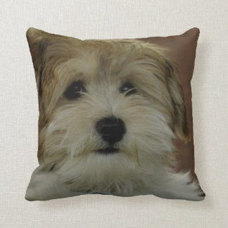 Coussin Carreau trop mignon de chiot