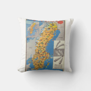 Coussin Carte de Suède