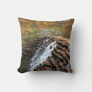 Coussin Cascade à Laurel Hill State Park II