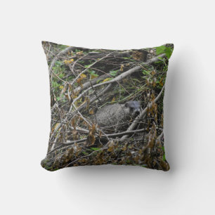 Coussin Castor occupé