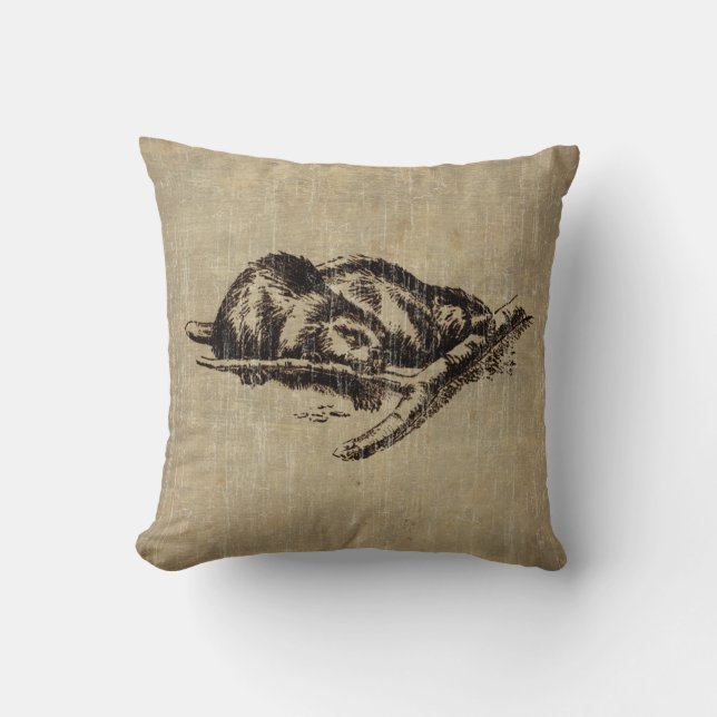 Coussin Castor vintage (Recto)