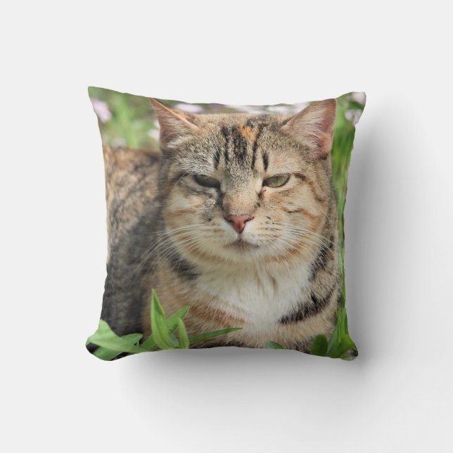 Coussin Cat (Recto)