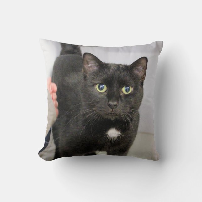 Coussin Cat (Recto)
