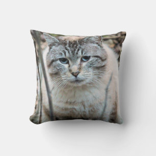 Coussin Cat