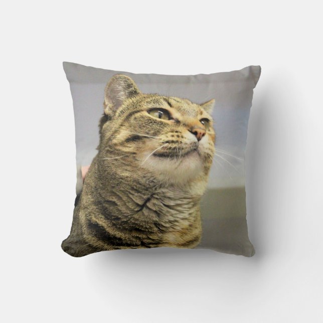 Coussin Cat (Recto)