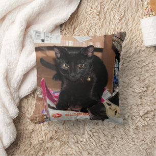 Coussin Cat