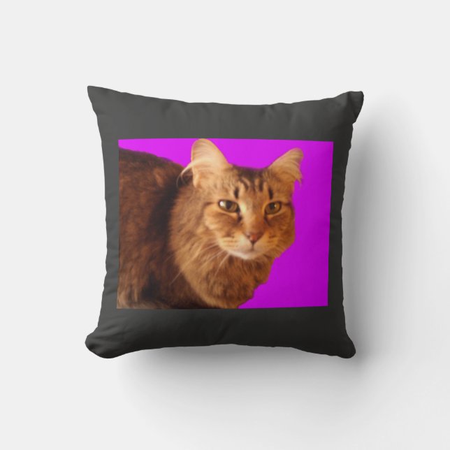 Coussin Cat 14 (Recto)