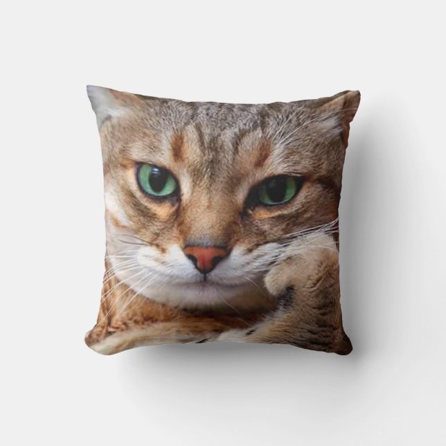 Coussin Catégorie (Recto)