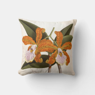 Coussin Cattleya Velutina Vintage Lindenia Orchid