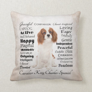 Coussin cavalier de traits