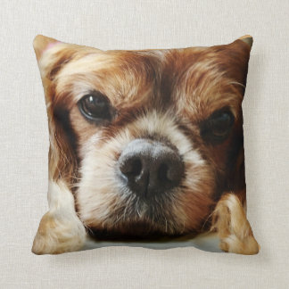 Coussin cavalier rouge 16x16