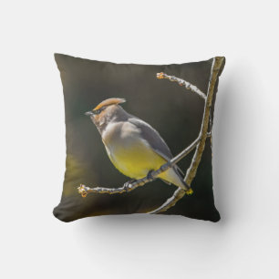 Coussin Cèdre cire Songbird Photo originale Oiseau sauvage