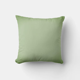 Coussin Céladon vert jade solide