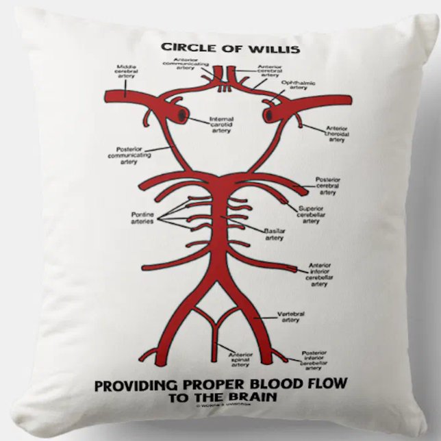 Coussin Cercle de willis fournissant le cerveau approprié (Throw pillow featuring Circle of Willis diagram, complete with labels of all key arteries)