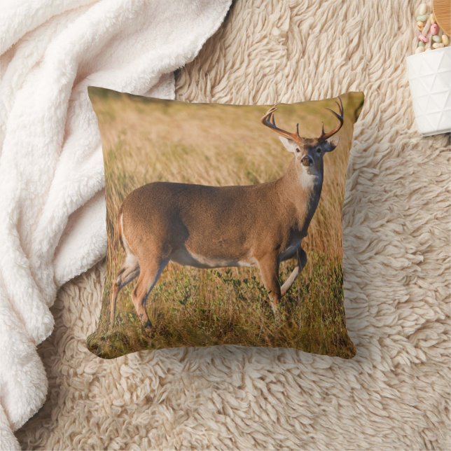 Coussin Cerf à queue blanche | Automne au TX (Couverture)