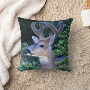Coussin Cerf à queue noire   Parc national olympique