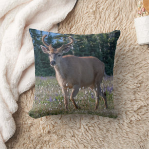 Coussin Cerf à queue noire   Parc national Olympique