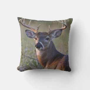 Coussin cerf de Virginie Odocoileus virginianus
