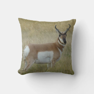 Coussin Cerf pronghorn A1 mâle
