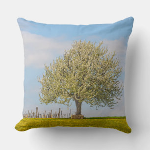 Coussin Cerisier Au Printemps