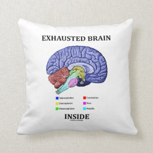 Coussin Cerveau épuisé à l'intérieur d'humour anatomiq
