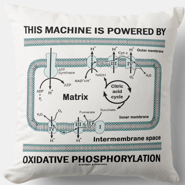 Coussin Cette Machine Alimentée Par La Phosphylation Oxida (Throw pillow for anyone powered by oxidative phosphorylation (& that means you))