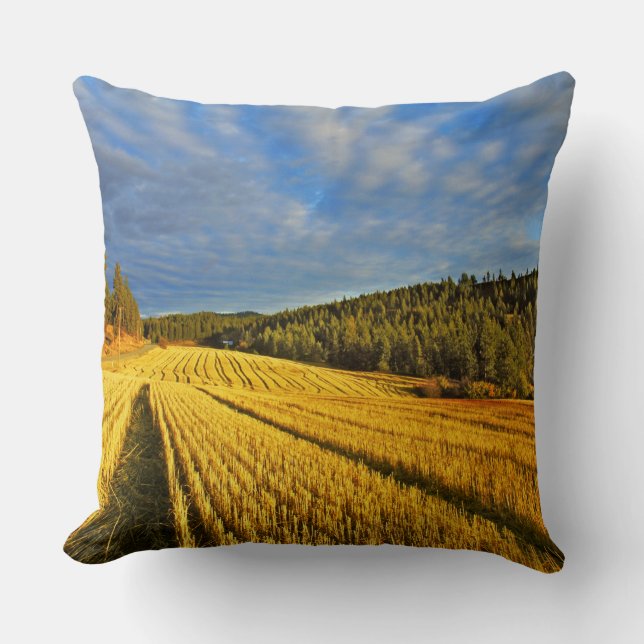 Coussin Champ de blé après récolte (Recto)