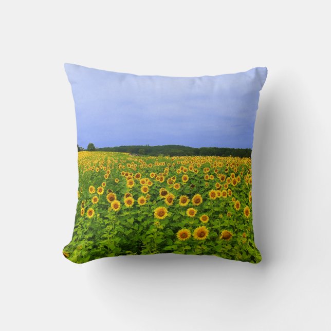 Coussin Champ de tournesols (Recto)