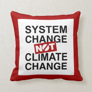 Coussin Changement de système et non changement climatique