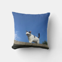 Chanter Cat Cushion 歌 う ク ョ