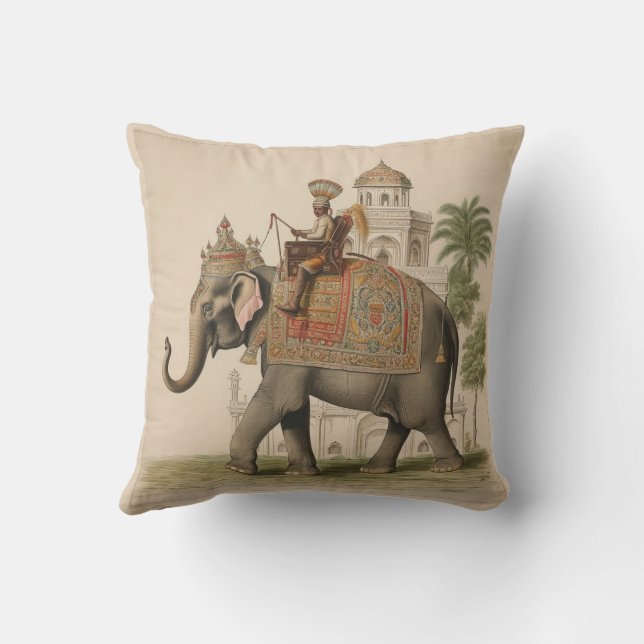 Coussin Charme de l'Époque Raj Throw Cushion - Raj 003 (Verso)