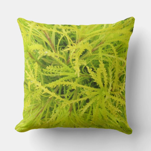 Coussin Chartreuse (Recto)