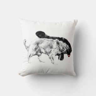 Coussin Chase de lanterne d'octobre