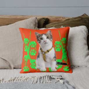 Coussin Chat Animal Familier Photo Lime Motif Orange Perso