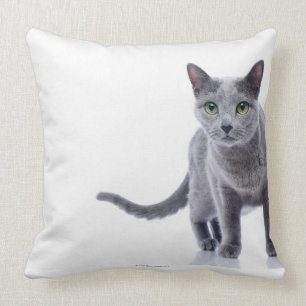 Coussin Chat bleu russe