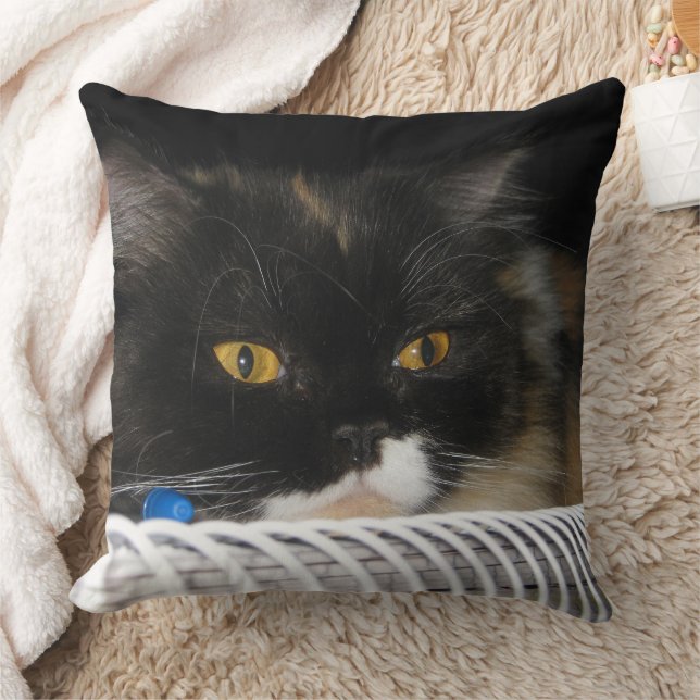 Coussin Chat Cuisiné (Couverture)