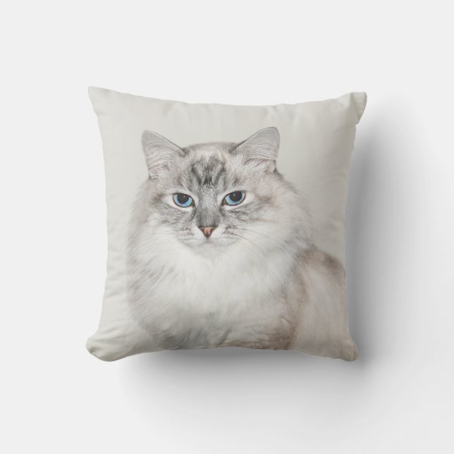 Coussin Chat de l'Himalaya de point bleu (Recto)