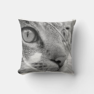 Coussin chat gris et blanc sur un vert