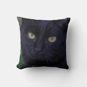 Coussin Chat Noir Chat Chat Chat Cute Yellow Yellow Yellow