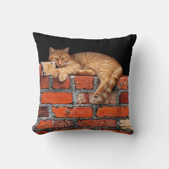 Coussin Chat sur mur de brique (Recto)