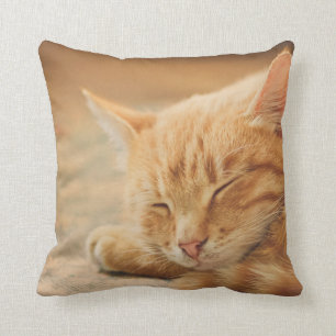 Coussin Chat tigré orange de sommeil