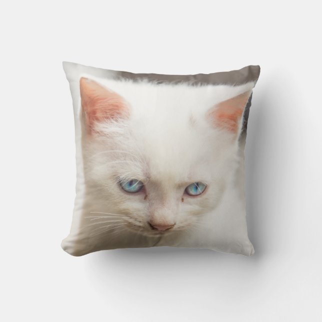 Coussin Chaton blanc (Recto)