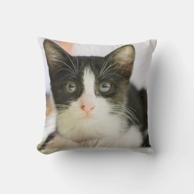 Coussin Chaton blanc et noir doux (Recto)