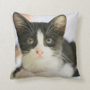 Coussin Chaton blanc et noir doux