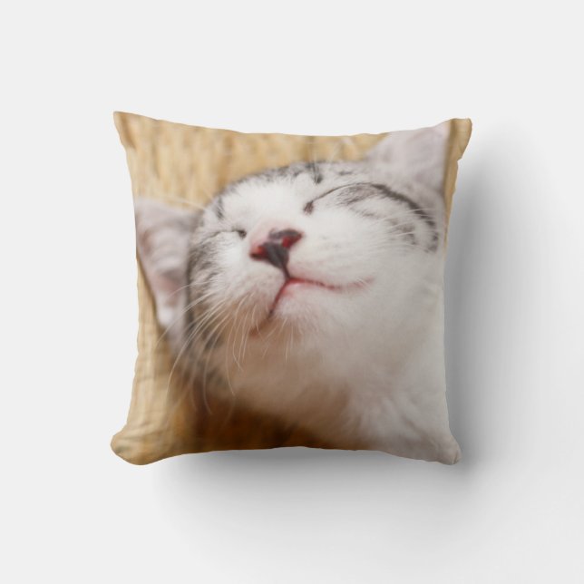 Coussin Chaton de sommeil (Recto)